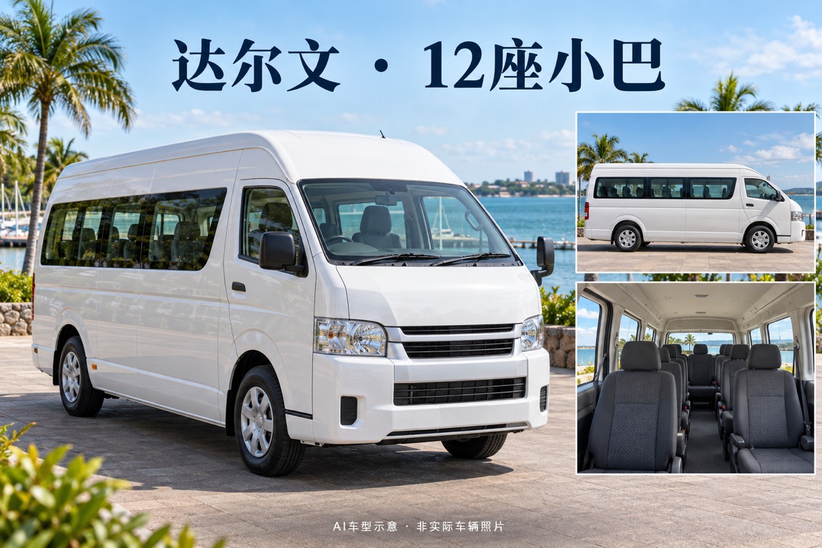 达尔文12座小巴中文包车｜最多10人｜10小时私人用车车型照片